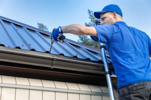 Best Roof Maintenance and Cleaning  in Hawthorne, NV