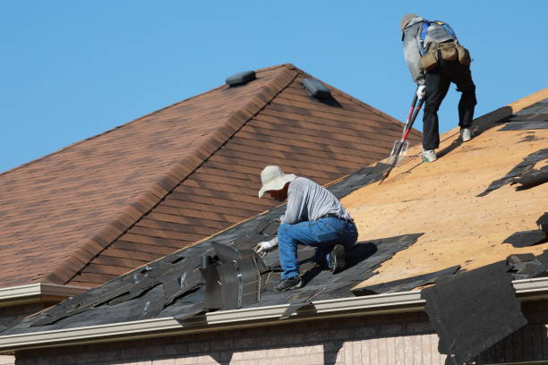 Best Roof Insulation Installation  in Hawthorne, NV