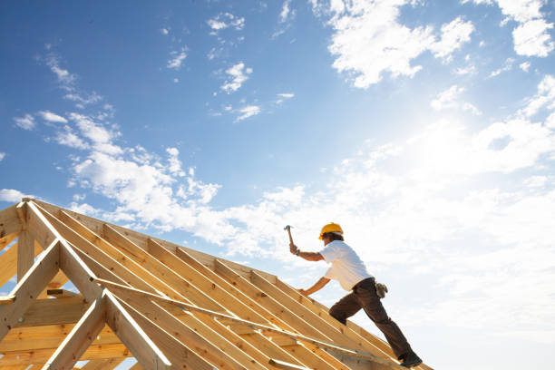 Best Roof Replacement  in Hawthorne, NV